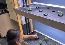 Classroom to Table urban agriculture program captures community interest