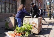 Arbor Day Flourishes in Humboldt Park with PRCC-led Initiative